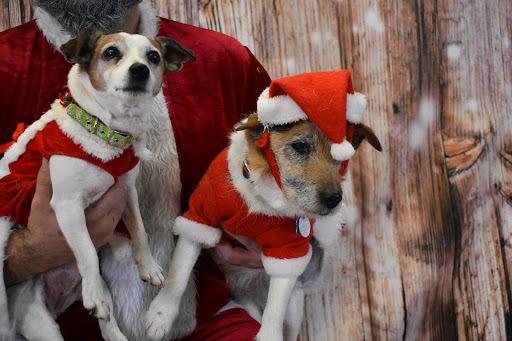 Pet Supply Store «Thomaston Feed of Cheshire», reviews and photos, 851 S Main St, Cheshire, CT 06410, USA