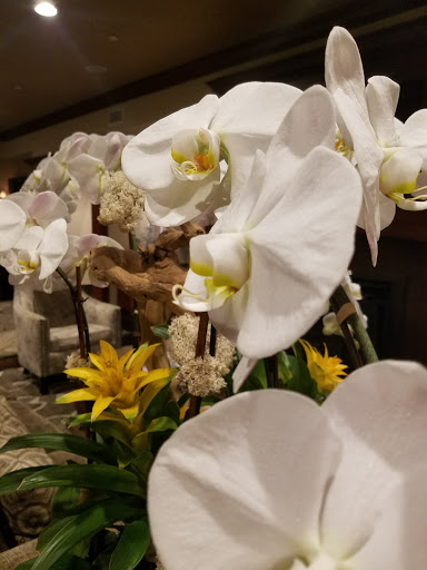 West Inn & Suites image