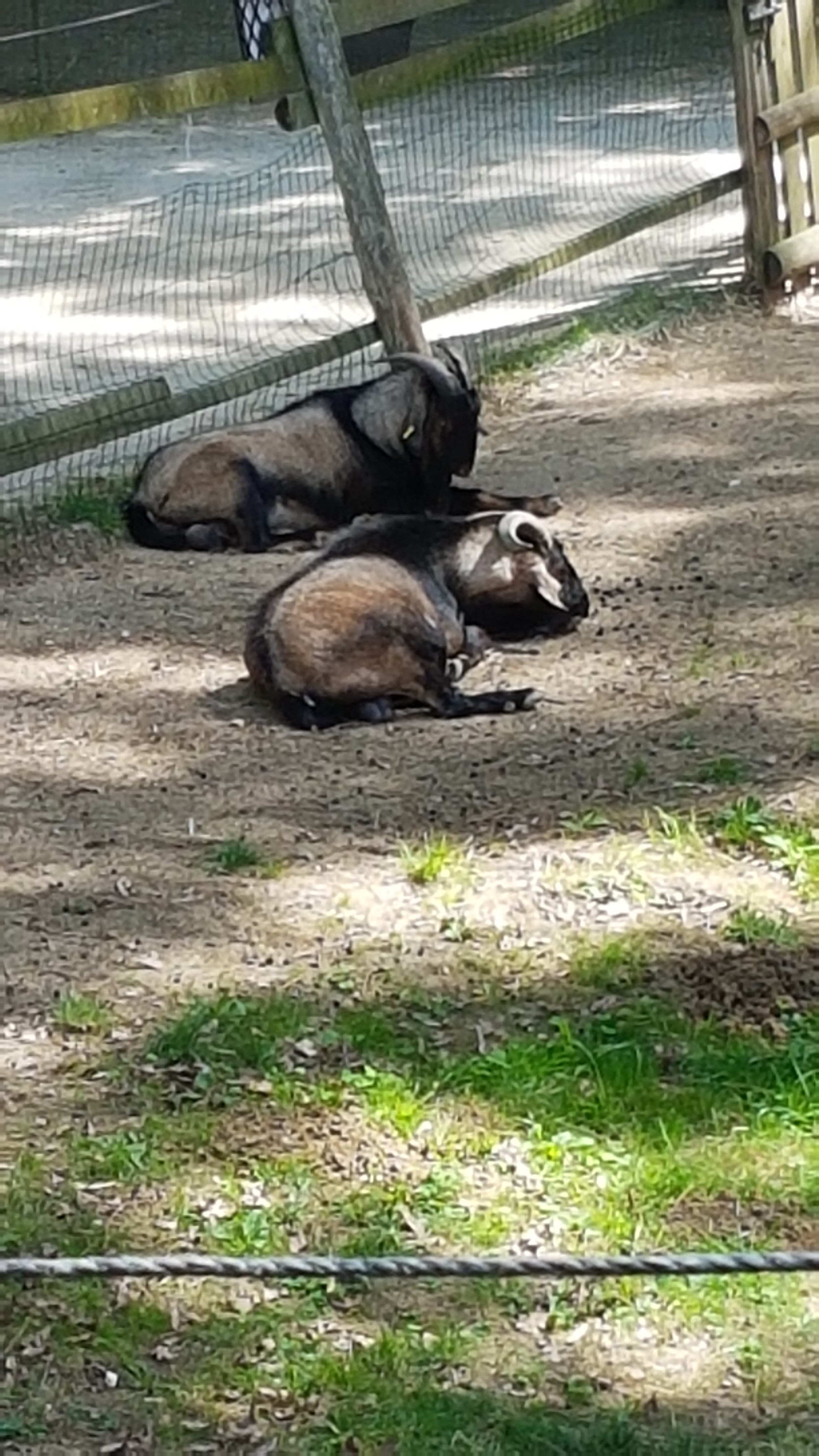 Photo n° 3 de l'avis de Patricia.e fait le 16/08/2019 à 15:31