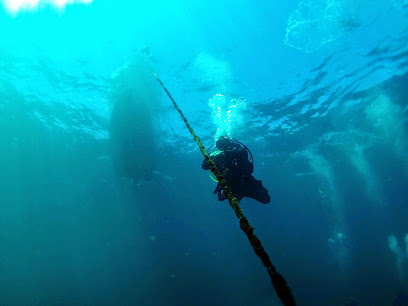 Agencia de viajes de buceo