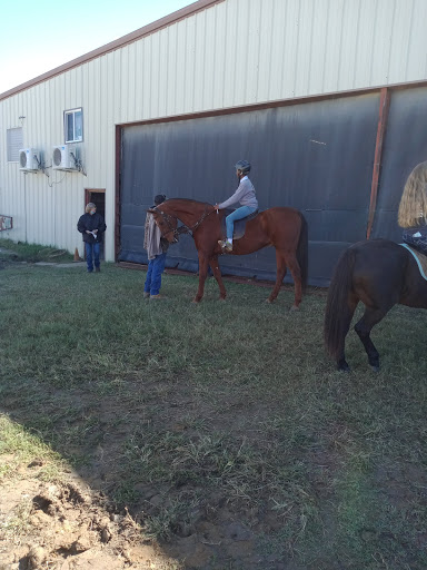 Mystic Acres Arabians, 6558 FM2578, Terrell, TX 75160, USA, 