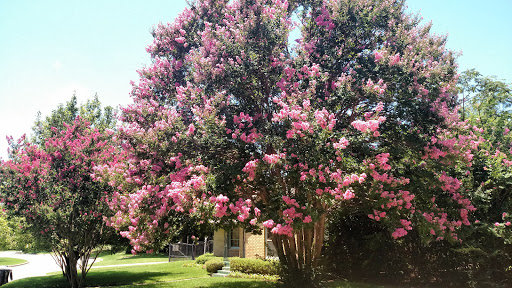 Zoo «Fort Worth Zoo», reviews and photos, 1989 Colonial Pkwy, Fort Worth, TX 76110, USA