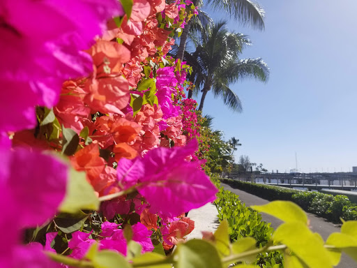 History Museum «Henry Morrison Flagler Museum», reviews and photos, 1 Whitehall Way, Palm Beach, FL 33480, USA