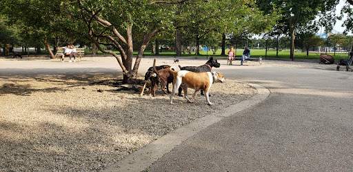 Dog Park «Norwood Park Dog Friendly Area», reviews and photos, 5850 N Avondale Ave, Chicago, IL 60631, USA