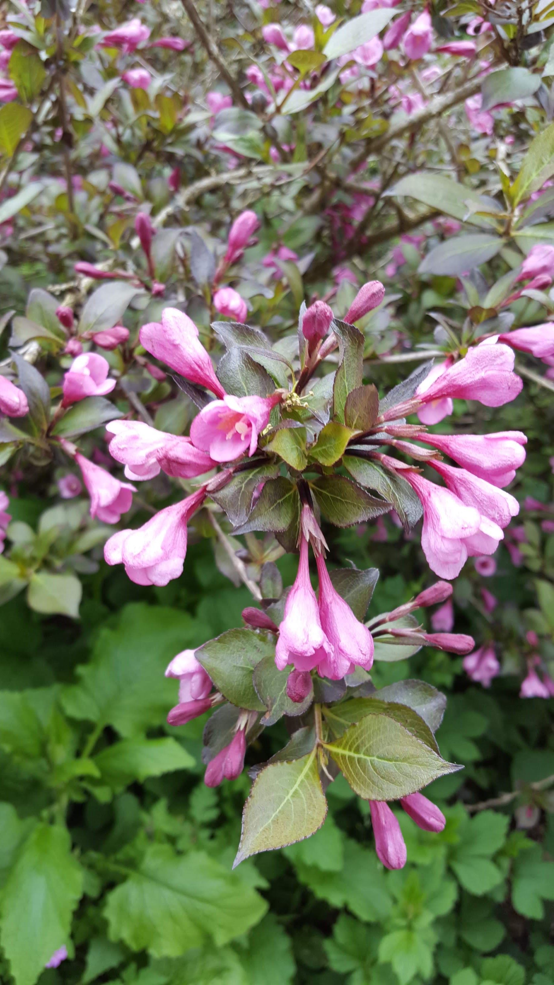 Photo n° 2 de l'avis de Sandrine.e fait le 22/05/2019 à 07:42