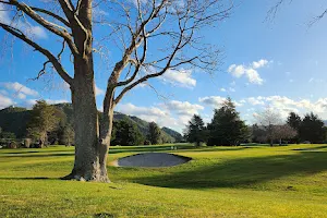 Te Marua Golf Club Inc image