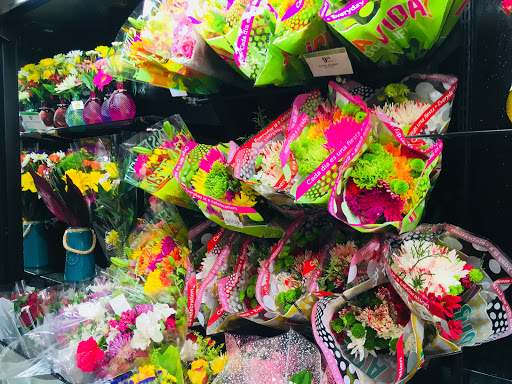 Supermarket «Publix Super Market at Hollywood Mall», reviews and photos, 3251 Hollywood Blvd, Hollywood, FL 33021, USA