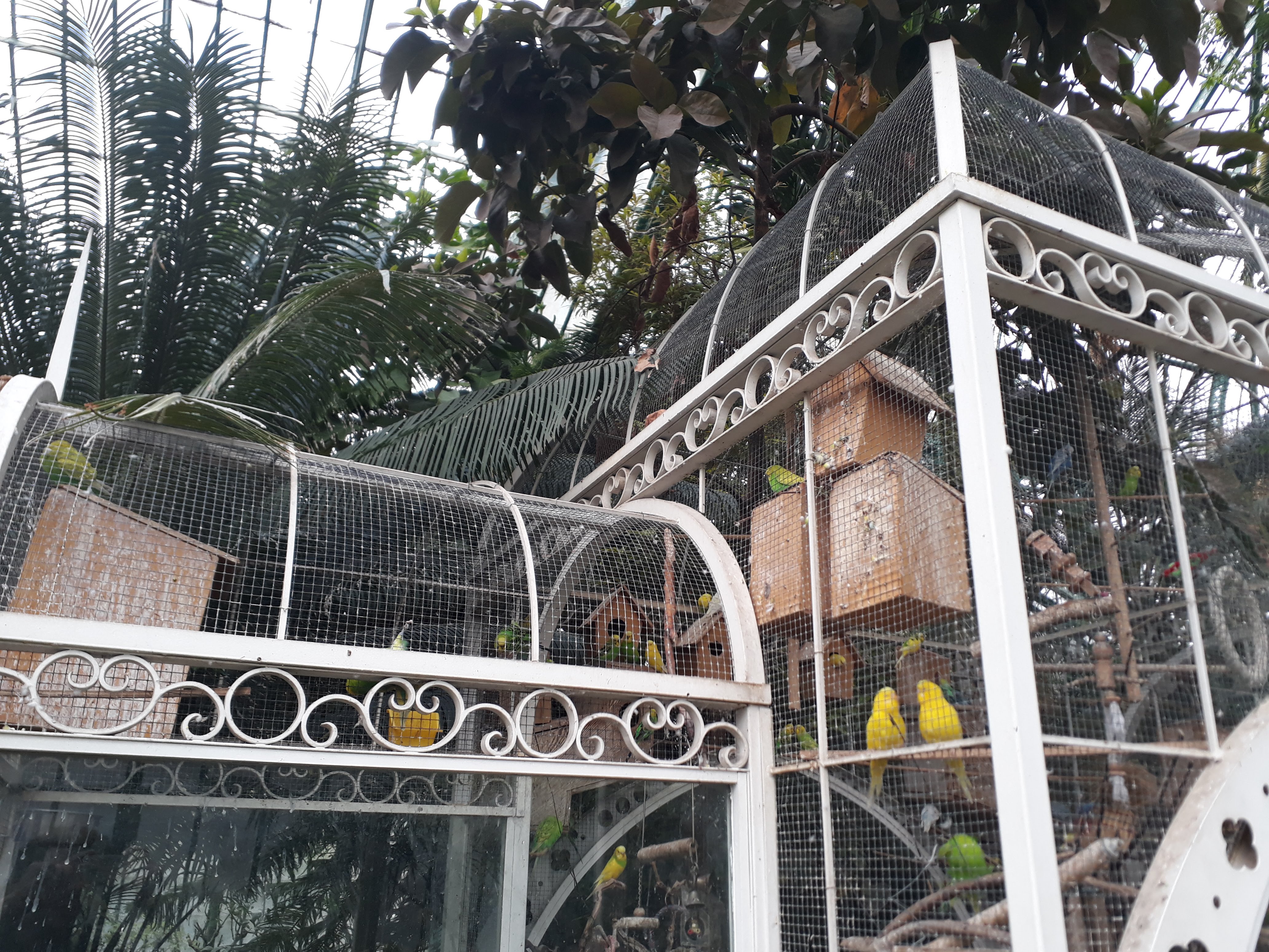 Photo n° 19 de l'avis de Julien.a fait le 12/04/2019 à 17:32