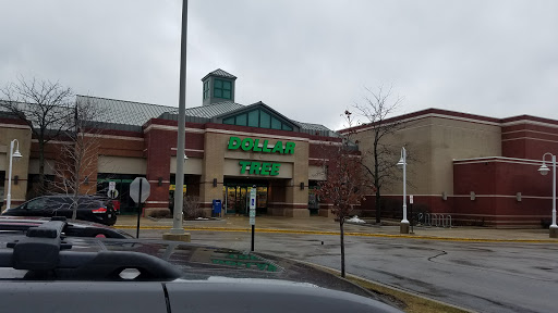 Dollar Store «Dollar Tree», reviews and photos, 1243 E Higgins Rd, Schaumburg, IL 60173, USA