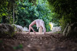 Yoga In Salento - ritiri yoga, corsi di yoga Lecce image