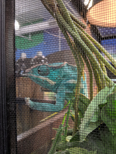 Pet Store «Petland Hoffman», reviews and photos, 11 Golf Center, Hoffman Estates, IL 60169, USA