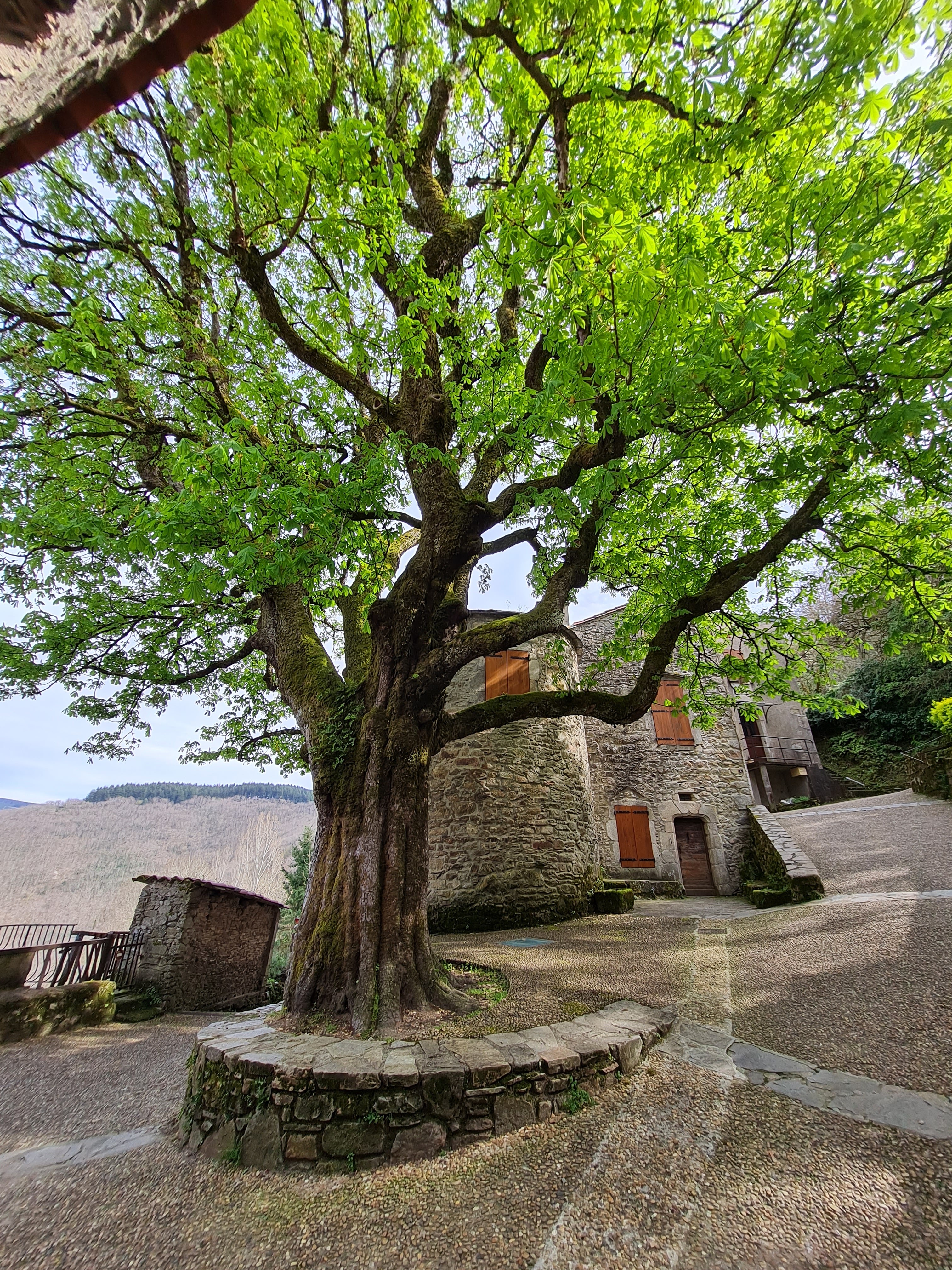 Photo n° 15 de l'avis de Nath.e fait le 19/04/2023 à 21:57