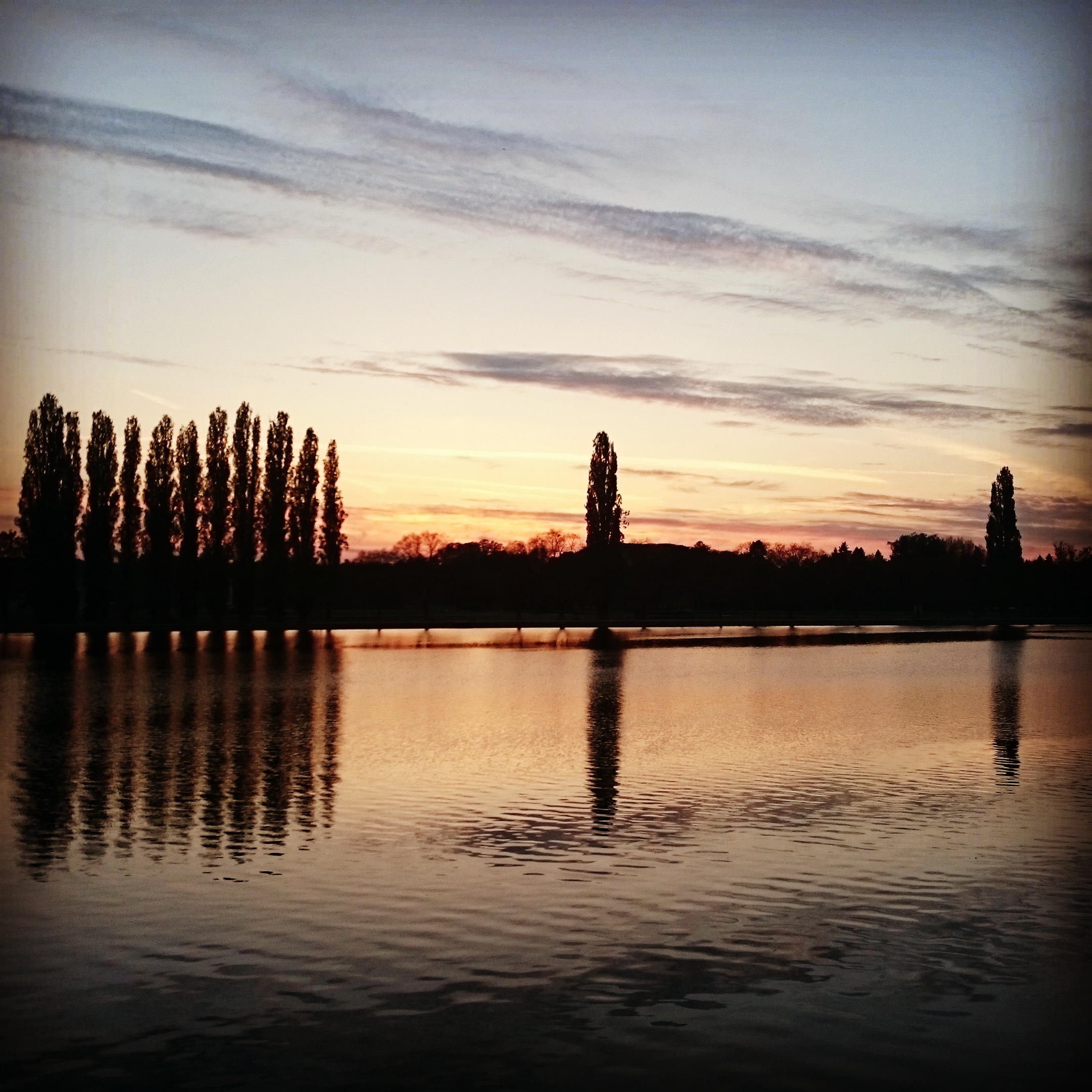 Photo n° 1 de l'avis de Sir.e fait le 13/05/2019 à 14:24