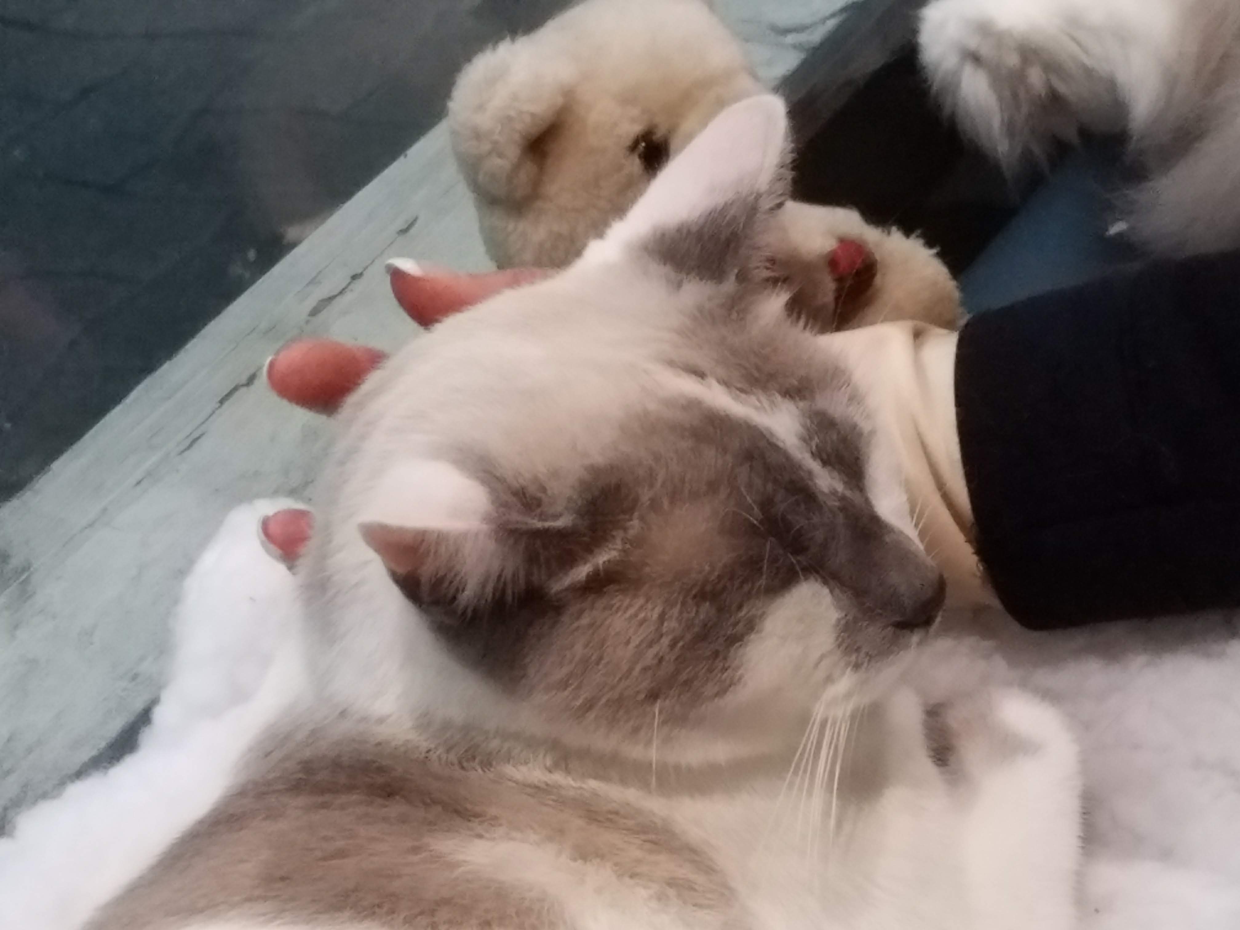 Photo n° 3 de l'avis de Olivier.a fait le 10/11/2018 à 23:00