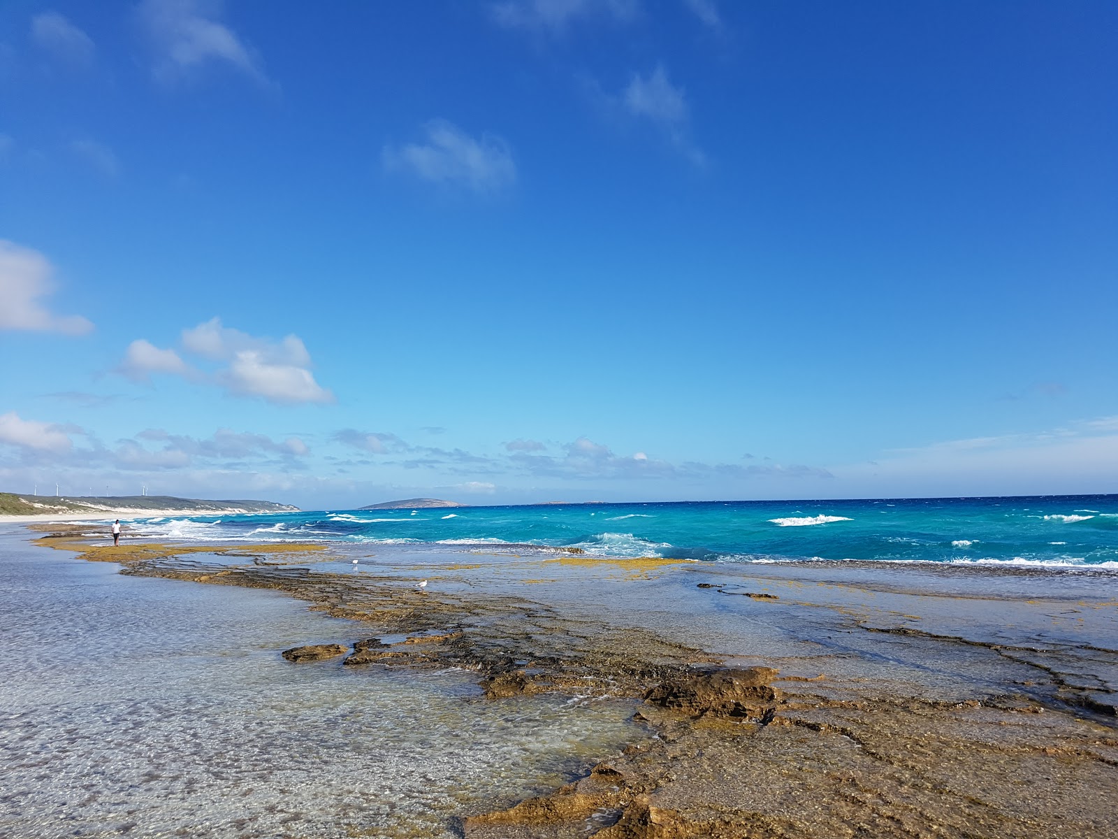 Eleven Mile Beach photo #9