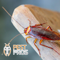 Pest Pros LLC - Photo 5 - Car repair in , Mesa