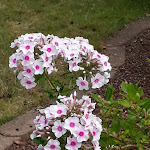 Photo n°1 de l'avis de Reinhard.e fait le 05/08/2019 à 14:48 sur le  Kaya Kebap à Ueckermünde