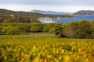 Domaine de la Courtade - Vins de l'île de Porquerolles Hyères