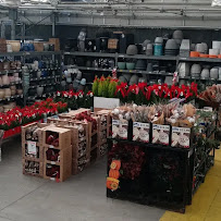 Lowe's Garden Center - Photo 9 - Car repair in San Jose, CA, Santa Clara