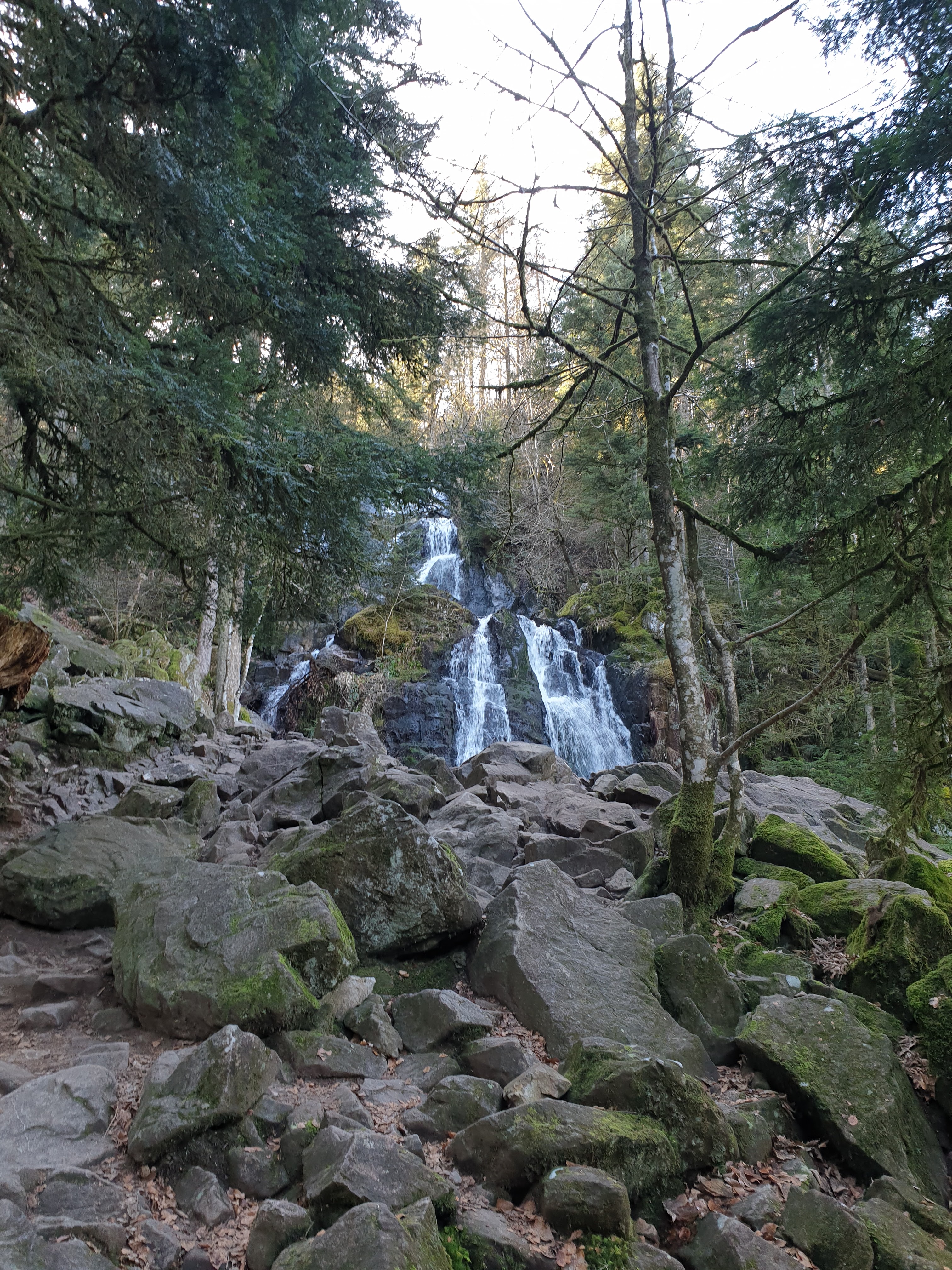 Photo n° 5 de l'avis de Rabha.i fait le 21/02/2023 à 14:05