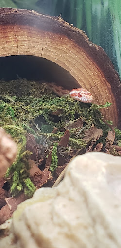 Pet Store «PetSmart», reviews and photos, 10451 Baltimore St NE, Blaine, MN 55449, USA