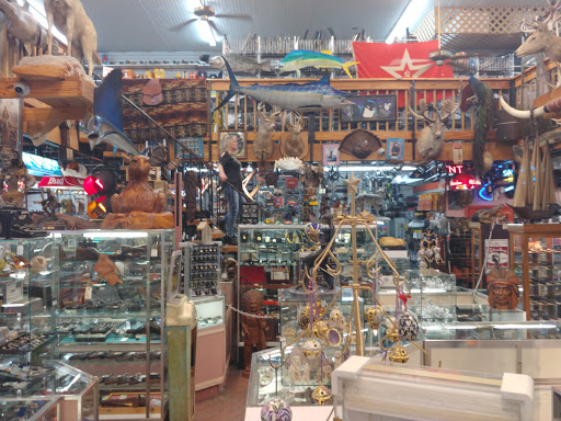 Gun Shop «AAA Gun & Pawn Shop», reviews and photos, 1849 S Woodland Blvd, DeLand, FL 32720, USA