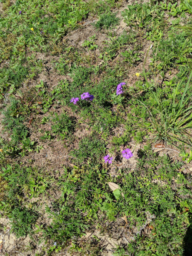 Museum «Air Force Armament Museum», reviews and photos, 100 Museum Dr, Eglin AFB, FL 32542, USA