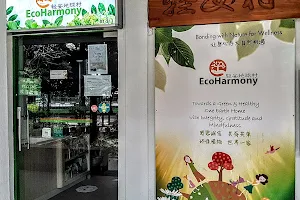 Eco-Harmony Cafe image