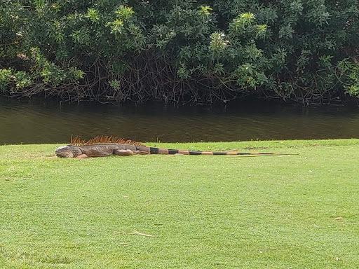 Golf Club «Plantation Preserve Golf Course & Club», reviews and photos, 7050 W Broward Blvd, Plantation, FL 33317, USA