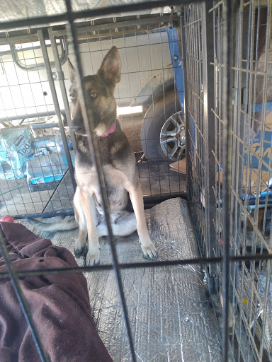 Thrift Store «Pet Rescue Thrift Store», reviews and photos, 3564 Central Ave, Riverside, CA 92506, USA