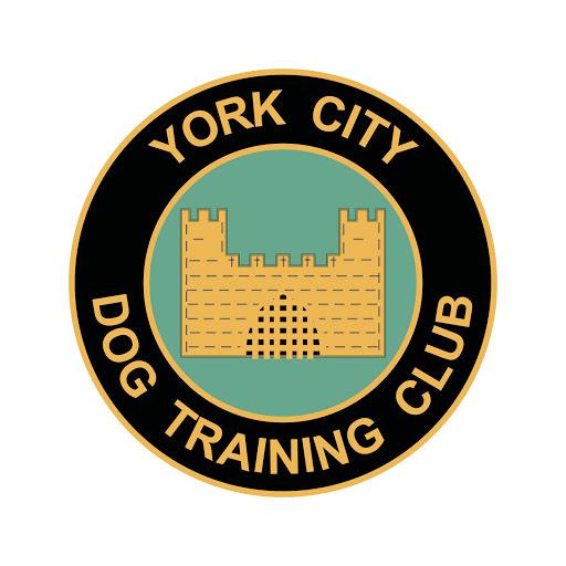 York City Dog Training Club