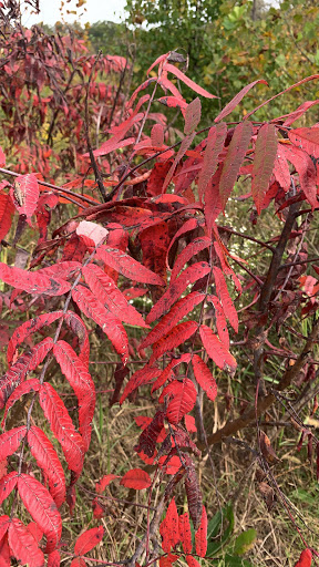 Park «Beckley Creek Park», reviews and photos, 1411 Beckley Creek Pkwy, Louisville, KY 40245, USA