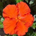 Photo n°7 de l'avis de Riese.e fait le 28/06/2021 à 16:45 sur le  Hotel Hermitage à Portoferraio