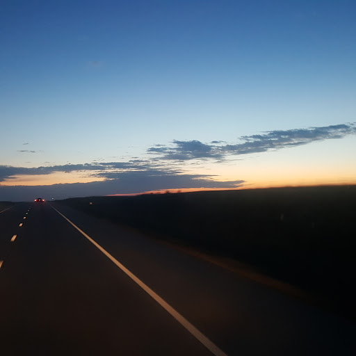 Dog Day Afternoon, Inc.