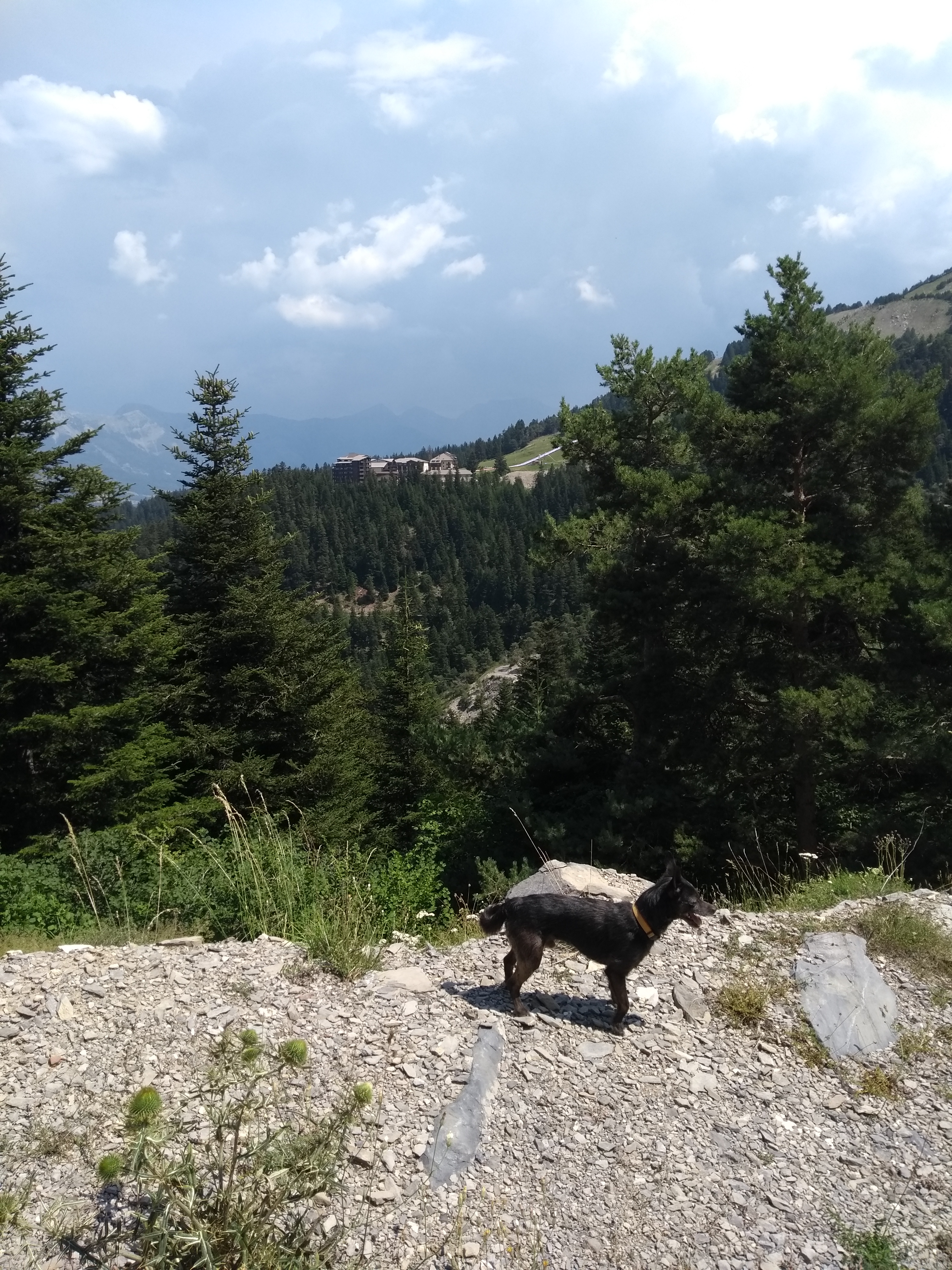 Photo n° 1 de l'avis de Yo.a fait le 06/08/2018 à 07:36
