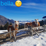 Photo n°1 de l'avis de Teresa.u fait le 16/02/2021 à 19:44 sur le  Hotel Paradiso à Asiago