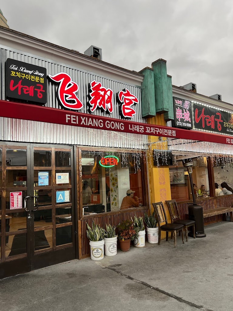 Fei Xiang Gong 90020