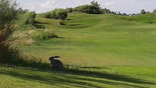 Golf Course «Underwood Golf Complex», reviews and photos, 3191 Coe Ave, El Paso, TX 79904, USA