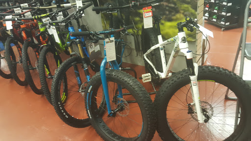 Bicycle Store «JRA Cycles», reviews and photos, 229 Salem St, Medford, MA 02155, USA