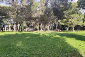 Parco Villa Corridi image