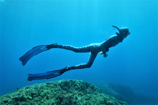 Blueback Freediving & Yoga