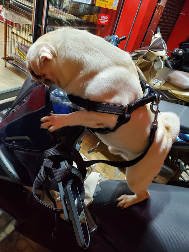 Top 20 cửa hàng air space Quận 11 Hồ Chí Minh 2022