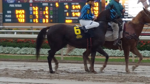 Casino «Indiana Grand Racing & Casino», reviews and photos, 4300 N Michigan Rd, Shelbyville, IN 46176, USA