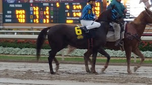 Indiana Grand Racing & Casino - photo 44