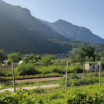 Photo n°5 de l'avis de Olivier.i fait le 09/07/2023 à 17:13 sur le  Smorza Piaceri da tavola dal 1965 à Romagnano