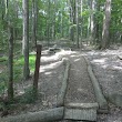 Royalview Mountain Bike Trail (Lower Lot)