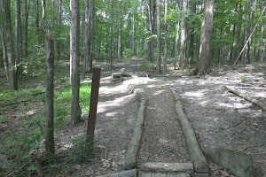 Royalview Mountain Bike Trail (Lower Lot)