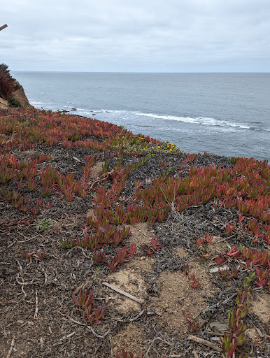 Nature Preserve «Fitzgerald Marine Reserve», reviews and photos, 200 Nevada Ave, Moss Beach, CA 94038, USA