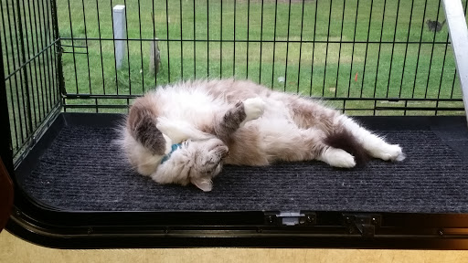 Campground «Hide Away Lakes», reviews and photos, 8045 Van Emmon Rd, Yorkville, IL 60560, USA