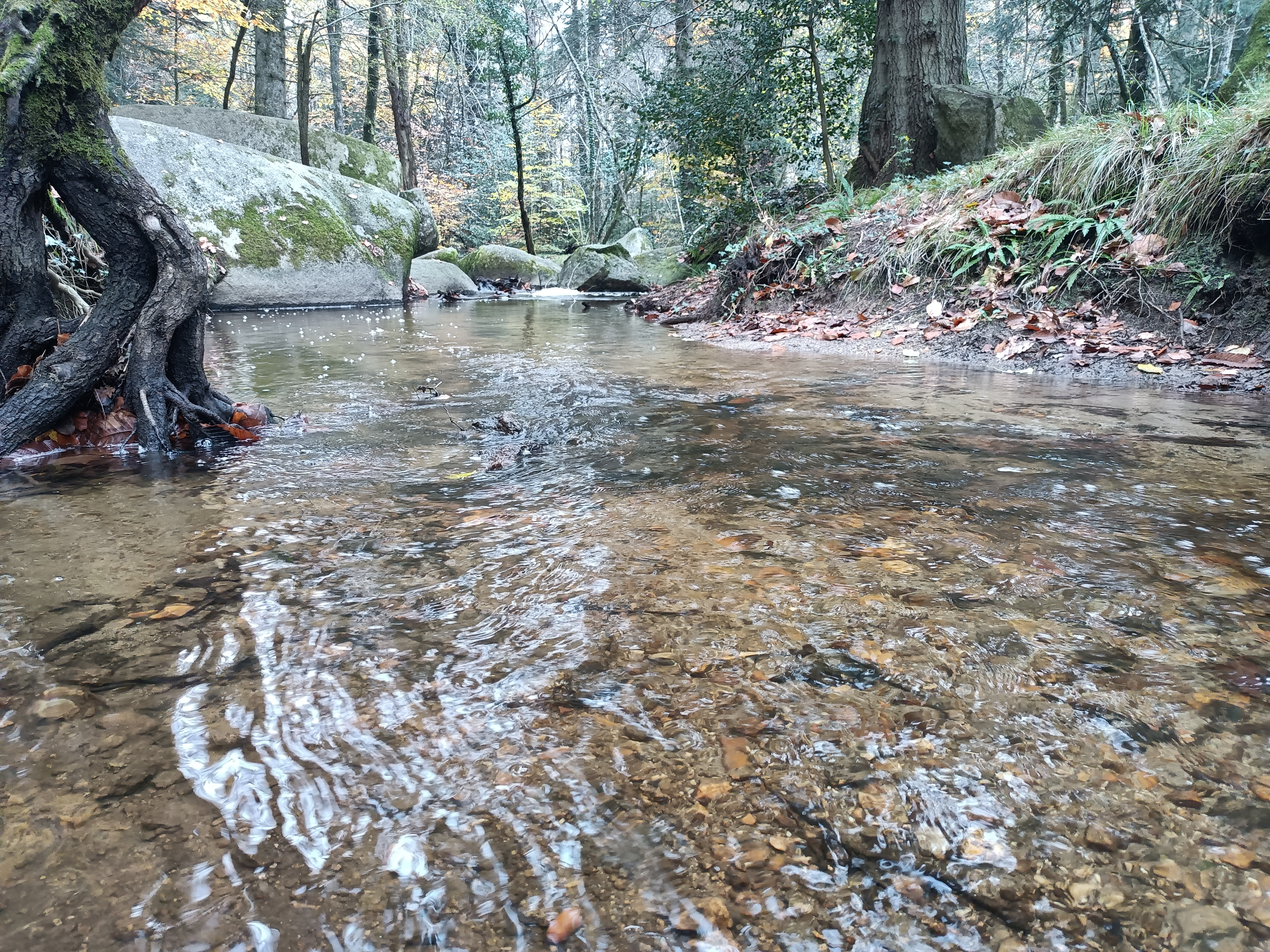 Photo n° 1 de l'avis de Coicea.t fait le 10/12/2022 à 07:06